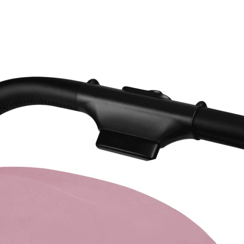 Прогулочная коляска Lionelo Mira Pink Rose купить в Кишиневе