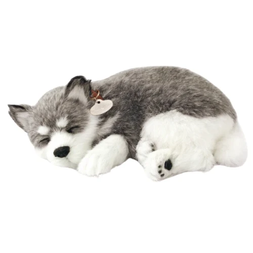 Jucărie interactivă Perfect Petzzz Husky din Alaska cumpăra în Chișinau