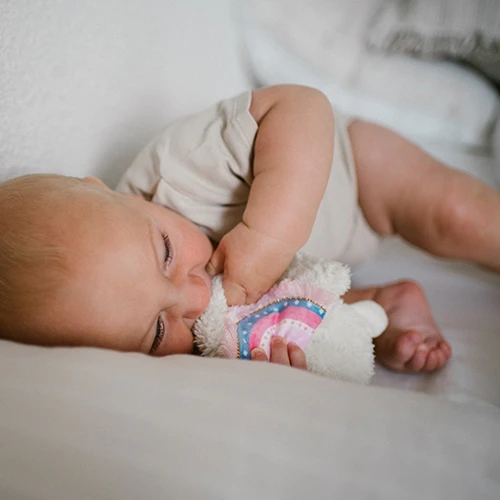 Jucarie de plus Babyono Lama Lulu roz, 23 cm cumpăra în Chișinau