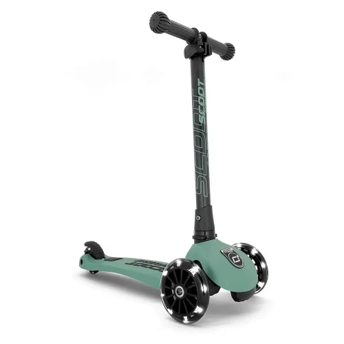 Самокат Scoot&Ride Highwaykick 3 LED Forest купить в Кишиневе