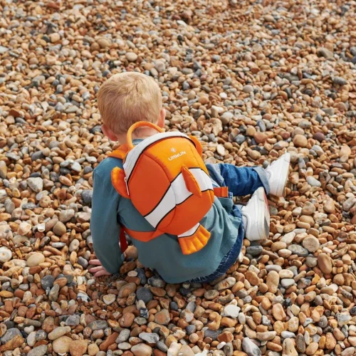 Детский рюкзак LittleLife Toddler Clownfish, 14x18x23 см купить в Кишиневе