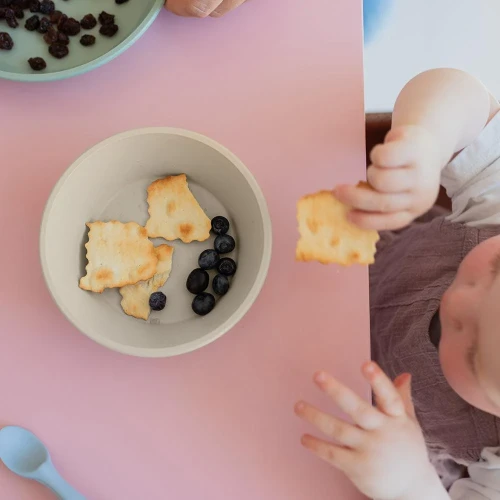 Набор миска с крышкой и тарелка Bibs Blush купить в Кишиневе