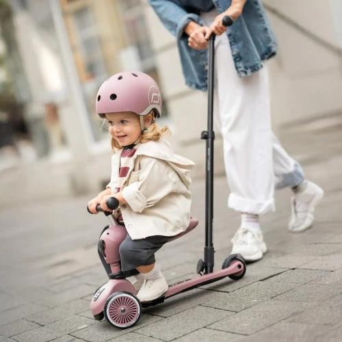 Самокат 2 в 1 Scoot&Ride Highwaykick 1 Push and Go Wildberry купить в Кишиневе