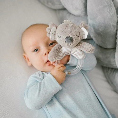 Погремушкa BabyOno Koala Coco Ring купить в Кишиневе