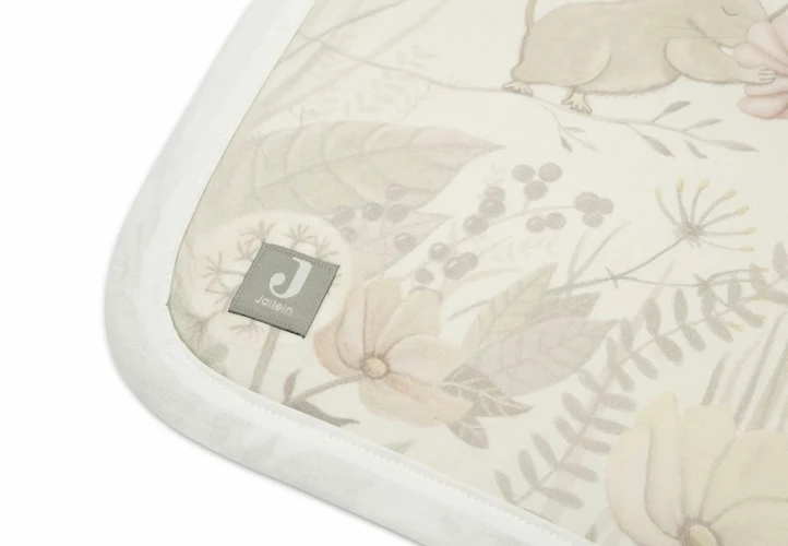 Păturică Jollein Dreamy Mouse/Velvet Fleece, 100x150 cm cumpăra în Chișinau