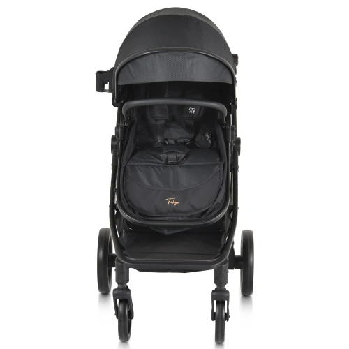 Carucior 2 in 1 Moni Tokyo Black cumpăra în Chișinau