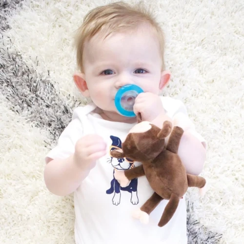 Пустышка круглая силиконовая Nuby Cherry игрушкой 0 мес+ купить в Кишиневе