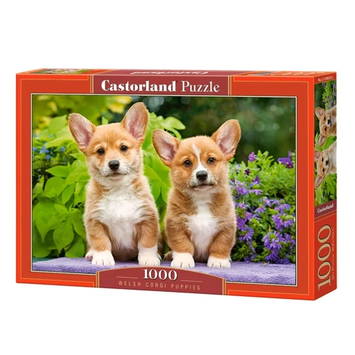 Пазл Castorland Welsh Corgi Puppies, 1000 элементов купить в Кишиневе