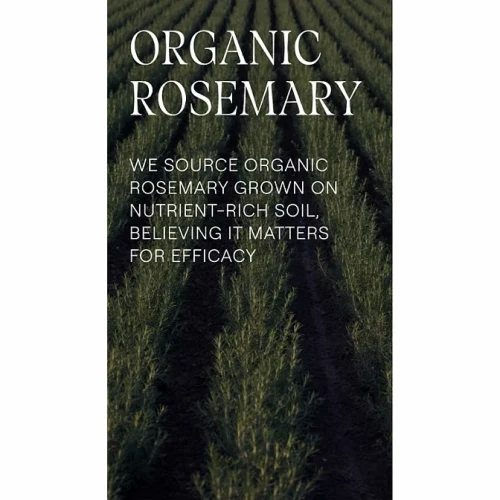 Balsam revitalizant pentru păr Weleda Rosemary, 150 ml cumpăra în Chișinau
