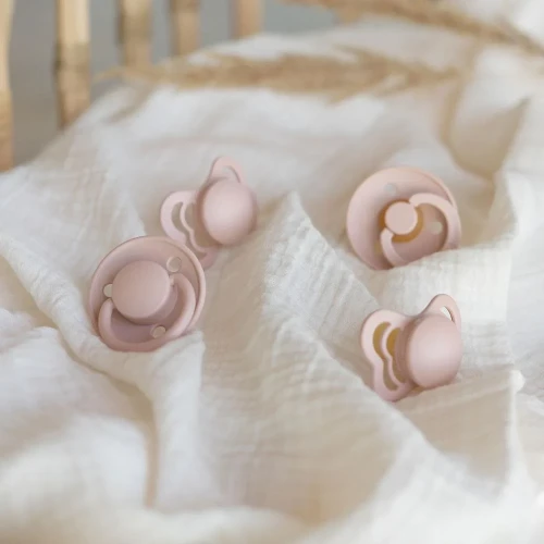 Набор из 4 пустышек из латекса и силикона Bibs Try-it Blush, 0-6 мес. купить в Кишиневе