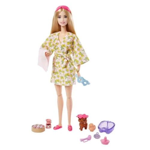 Papusa Barbie Self-Care SPA Day cumpăra în Chișinau