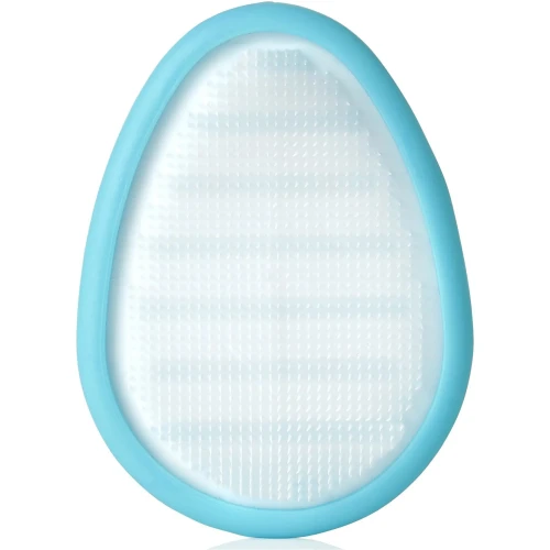 Perie pentru copii Frida Baby DermaFrida The FlakeFixer Albastru cumpăra în Chișinau