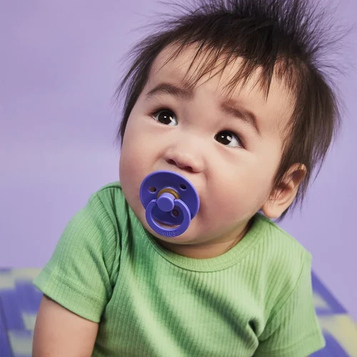 Пустышка круглая латексная Bibs Colour Grape, 6-18 мес. купить в Кишиневе