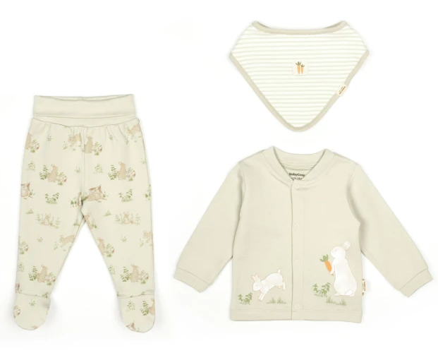 Комплект из 3 штук BabyCosy 2 Rabbit Ecru & Soft Green (1-3М) купить в Кишиневе