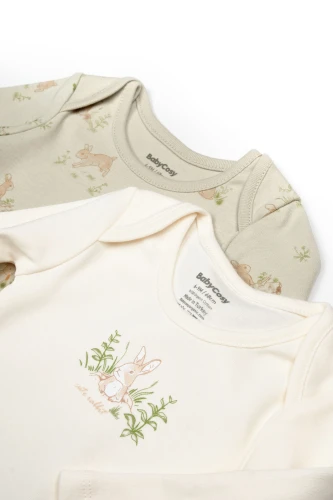 Body cu mâneca lungă BabyCosy Rabbit 1 Ecru & Soft Green, 2 buc. (9-12L) cumpăra în Chișinau