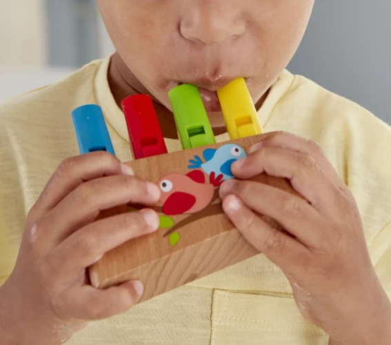 Флейта Радуга Hape купить в Кишиневе