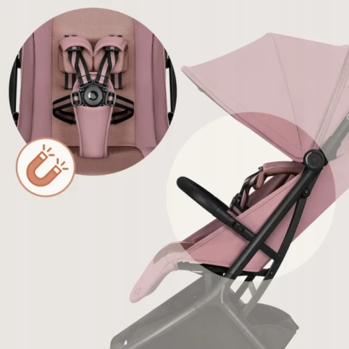 Прогулочная коляска Lionelo Sia Pink Rose купить в Кишиневе