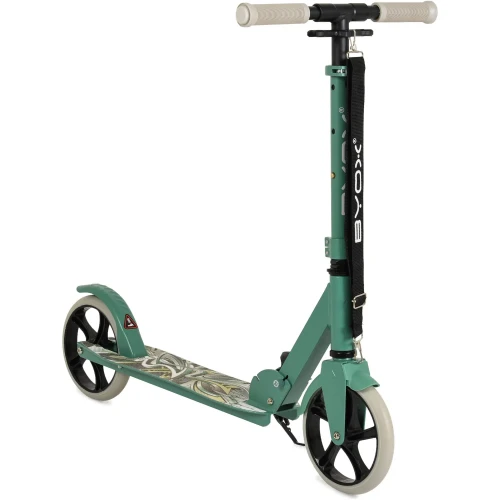 Самокат Moni Flurry Green купить в Кишиневе