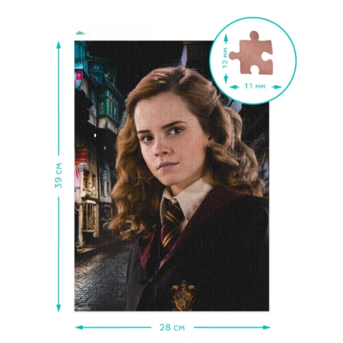 Puzzle Dodo Portretul Hermionei, seria Harry Potter, 450 elemente cumpăra în Chișinau