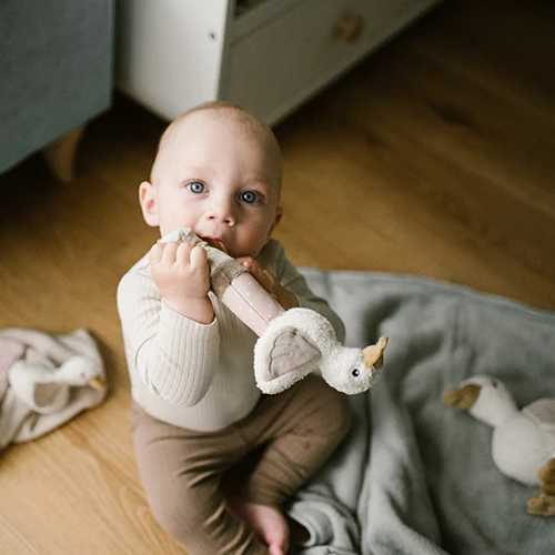 Погремушка Babyono Goose Zoe с прорезывателем для зубов купить в Кишиневе