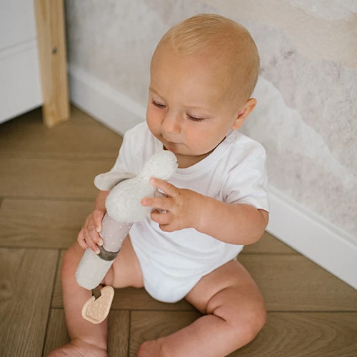 Погремушка Babyono Goose Zoe с прорезывателем для зубов купить в Кишиневе