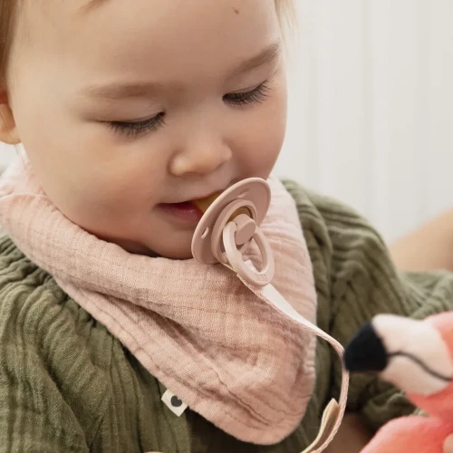 Хлопковый слюнявчик Bibs Bandana Elderberry купить в Кишиневе