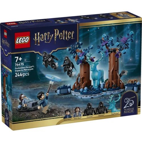 Конструкторы Lego Harry Potter Forbidden Forest: Expecto Patronum, 244 элемента купить в Кишиневе