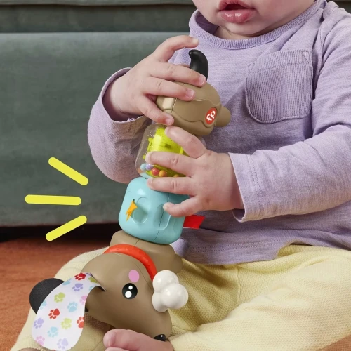 Jucărie interactivă Fisher Price Pets Activity Pup cumpăra în Chișinau