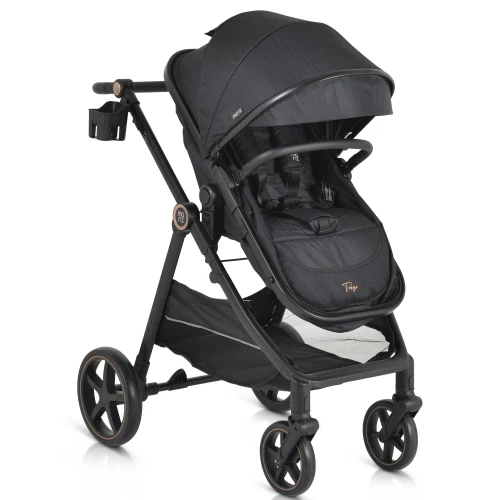 Carucior 2 in 1 Moni Tokyo Black cumpăra în Chișinau