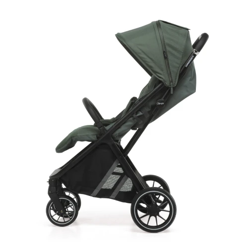 Прогулочная коляска FoppaPedretti Olimpic Green купить в Кишиневе