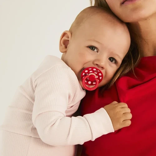 Круглые латексные соски Bibs Polka Blossom & Candy Apple (0-6 мес.), 2 шт. купить в Кишиневе