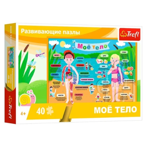 Пазл Toys Outlet Моё тело, 40 элементов купить в Кишиневе