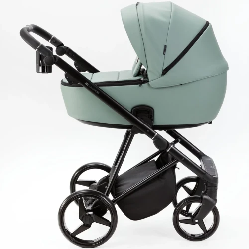 Коляска 2 в 1 Adamex Blanc Deluxe Green купить в Кишиневе