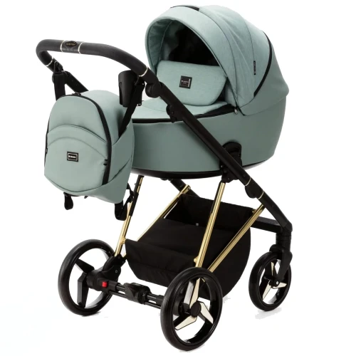 Коляска 2 в 1 Adamex Blanc Special Edition Green купить в Кишиневе