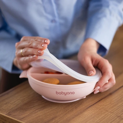 Тарелка с присоской и крышкой BabyOno Pink, 17×21 см купить в Кишиневе