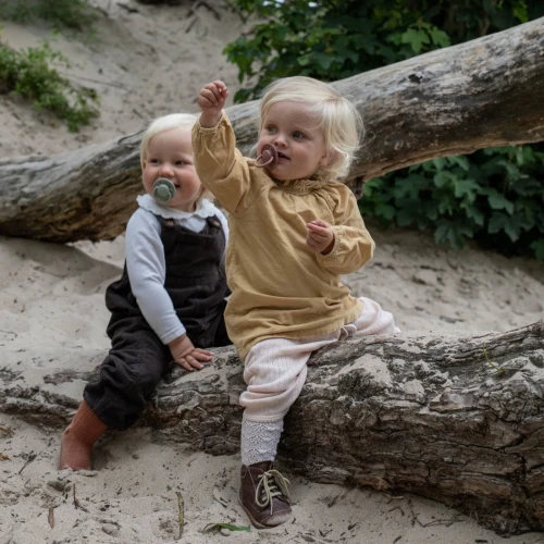 Пустышка круглая силиконовая Bibs De Lux Dark Oak 0-36 мес купить в Кишиневе