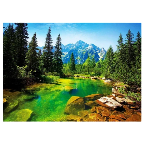 Пазл Toys Outlet Татры. Горный пейзаж, 500 элементов купить в Кишиневе