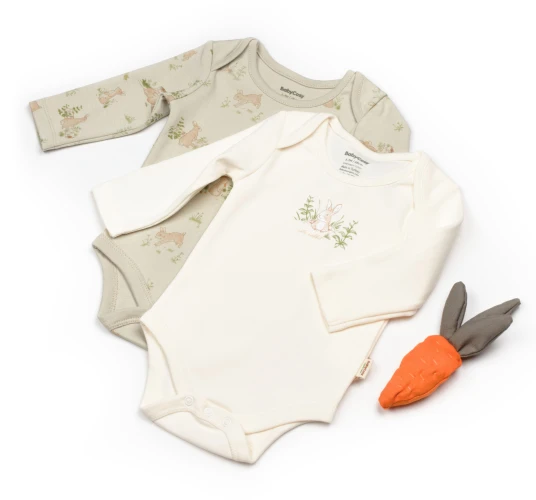 Body cu mâneca lungă BabyCosy Rabbit 1 Ecru & Soft Green, 2 buc. (18-24L) cumpăra în Chișinau