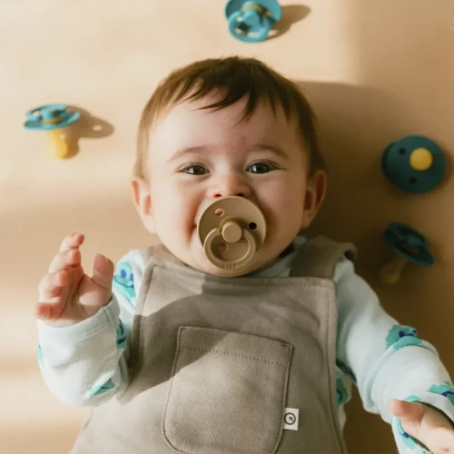 Круглые латексные соски Bibs Colour Taupe & Scuba (0-6 мес.), 2 шт. купить в Кишиневе