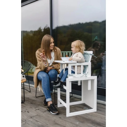 Стул для кормления 2 в 1 DeSon Toptun Белый купить в Кишиневе