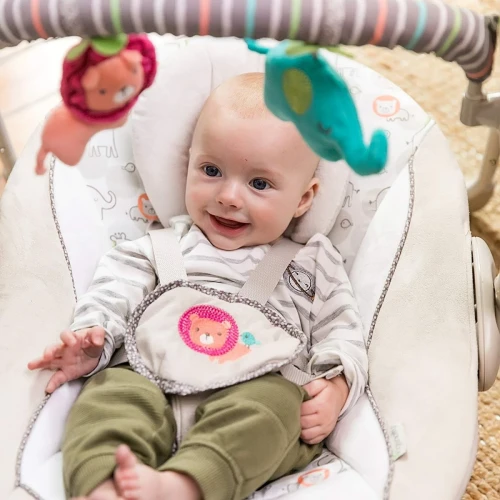 Качалка Bright Starts Comfort & Harmony Cozy Kingdom купить в Кишиневе