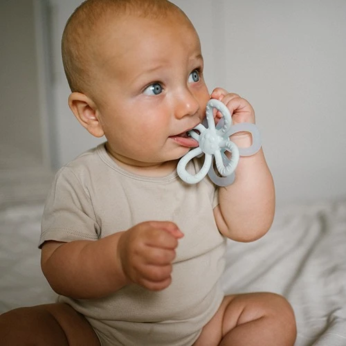 Прорезыватель для зубов BabyOno Flower Blue купить в Кишиневе