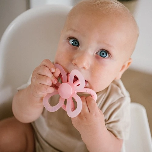 Прорезыватель для зубов BabyOno Flower Blue купить в Кишиневе