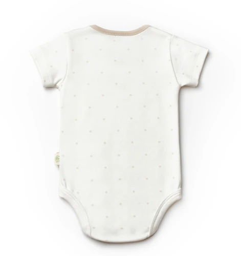 Боди с коротким рукавом BabyCosy Ivory & Ecru, 2 шт. (6-9М) купить в Кишиневе