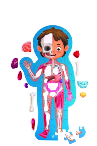 Puzzle Hape Corpul uman în cutie, 10 elemente cumpăra în Chișinau