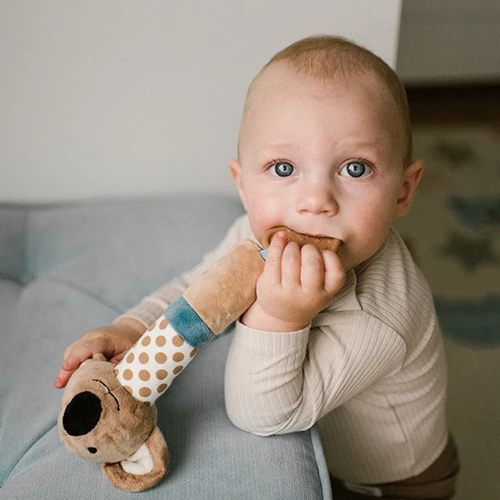 Погремушка Babyono Koala Charlie с прорезывателем для зубов купить в Кишиневе