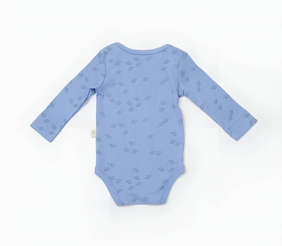 Боди с длинным рукавом BabyCosy Modal Blue & Ivory, 2 шт. (1-3М) купить в Кишиневе