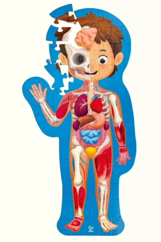Puzzle Hape Corpul uman în cutie, 10 elemente cumpăra în Chișinau