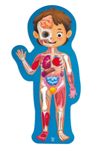 Puzzle Hape Corpul uman în cutie, 10 elemente cumpăra în Chișinau