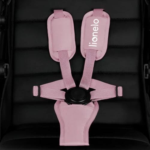 Прогулочная коляска Lionelo Mira Pink Rose купить в Кишиневе